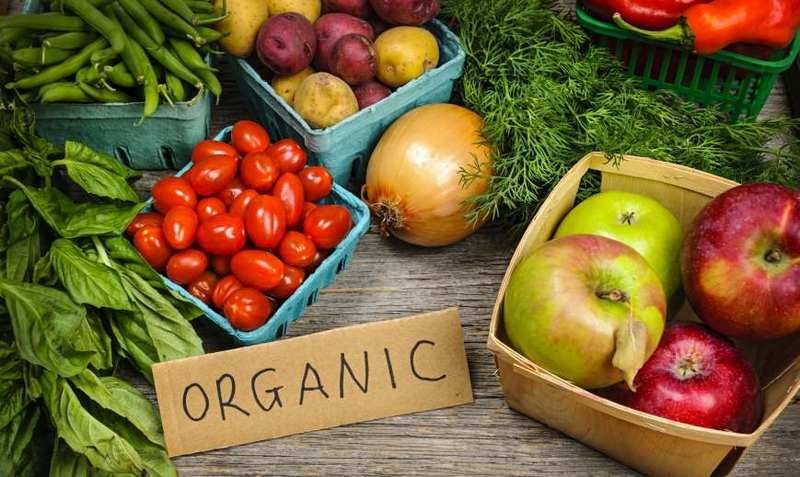 Бізнес-ідея продажу органічних продуктів: проблеми і перспективи